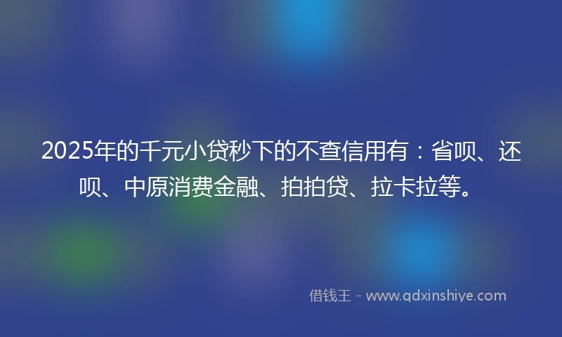 2025年的千元小贷秒下的不查信用有：省呗、还呗、中原消费金融、拍拍贷、拉卡拉等。
