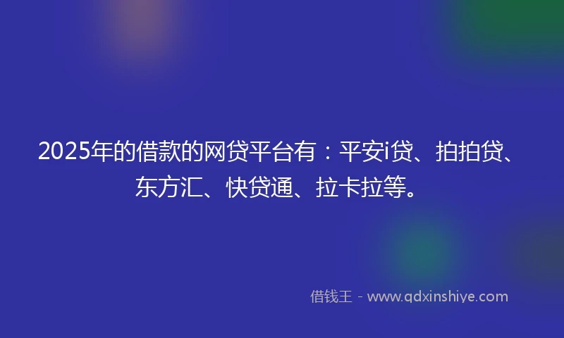 2025年的借款的网贷平台有：平安i贷、拍拍贷、东方汇、快贷通、拉卡拉等。