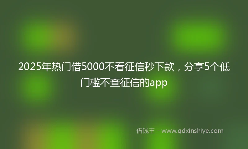 2025年热门借5000不看征信秒下款，分享5个低门槛不查征信的app