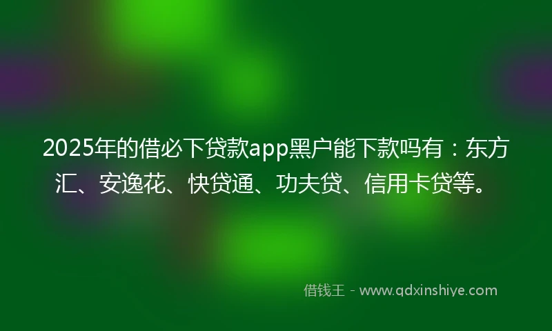 2025年的借必下贷款app黑户能下款吗有：东方汇、安逸花、快贷通、功夫贷、信用卡贷等。