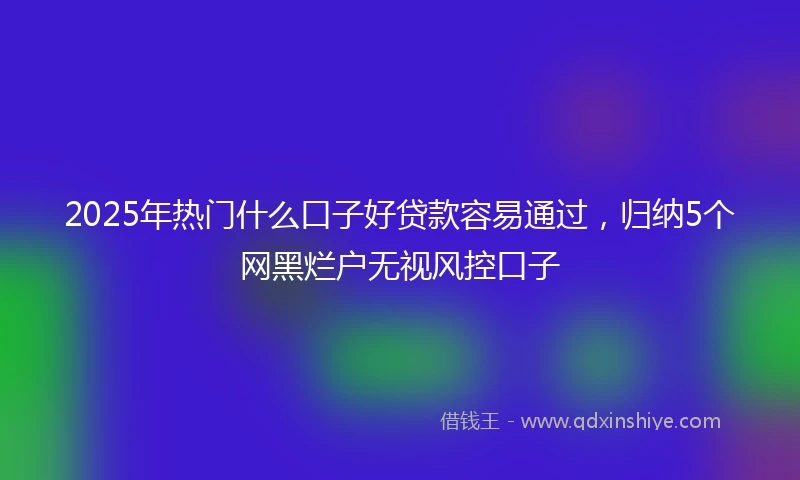 2025年热门什么口子好贷款容易通过，归纳5个网黑烂户无视风控口子