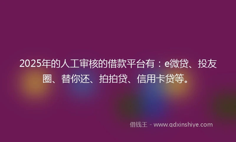 2025年的人工审核的借款平台有：e微贷、投友圈、替你还、拍拍贷、信用卡贷等。