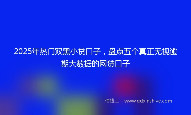 2025年热门双黑小贷口子，盘点五个真正无视逾期大数据的网贷口子