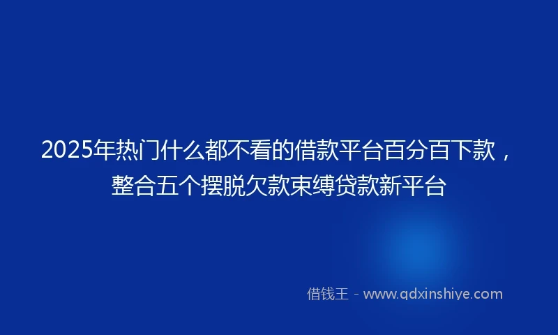 2025年热门什么都不看的借款平台百分百下款，整合五个摆脱欠款束缚贷款新平台