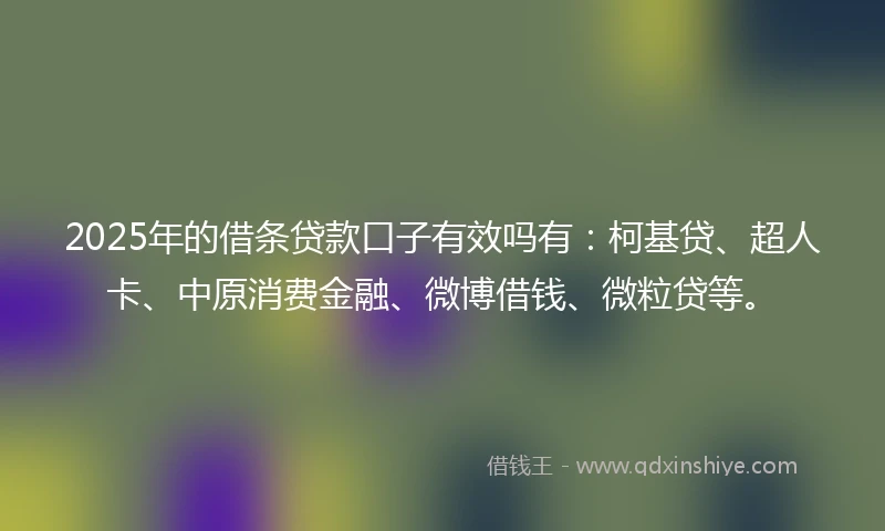 2025年的借条贷款口子有效吗有：柯基贷、超人卡、中原消费金融、微博借钱、微粒贷等。