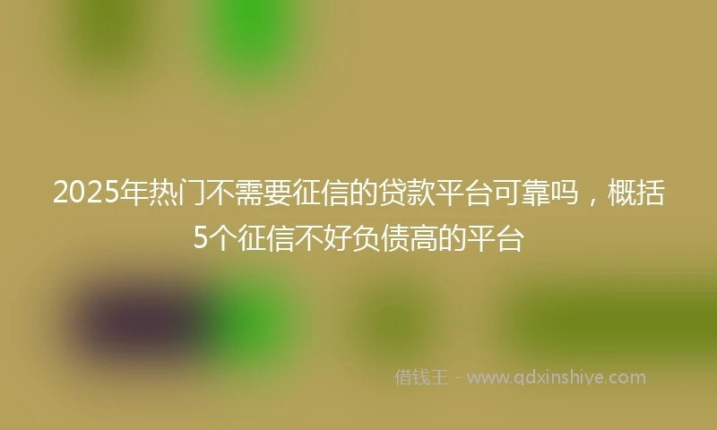 2025年热门不需要征信的贷款平台可靠吗，概括5个征信不好负债高的平台