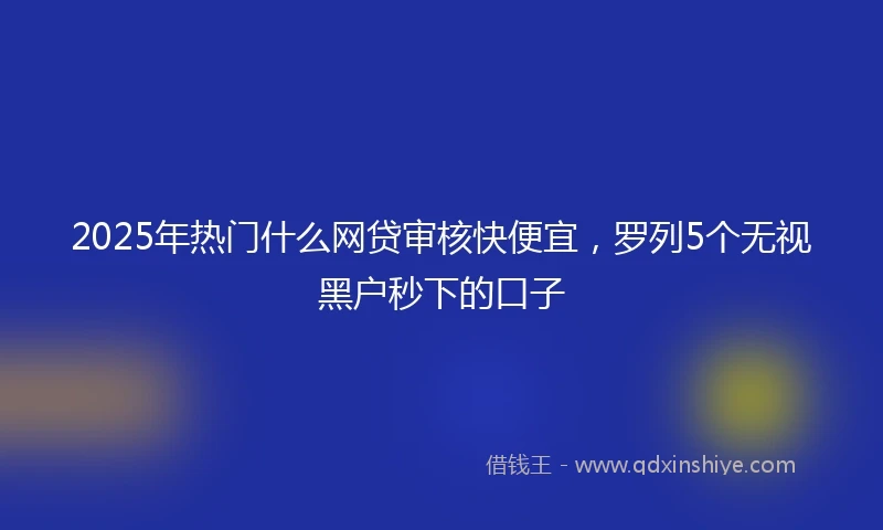 2025年热门什么网贷审核快便宜，罗列5个无视黑户秒下的口子