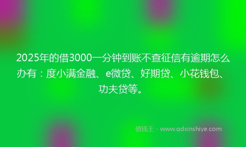 2025年的借3000一分钟到账不查征信有逾期怎么办有：度小满金融、e微贷、好期贷、小花钱包、功夫贷等。