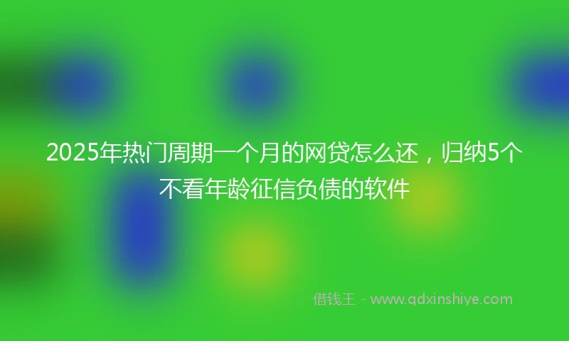 2025年热门周期一个月的网贷怎么还，归纳5个不看年龄征信负债的软件