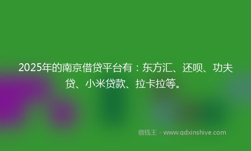 2025年的南京借贷平台有：东方汇、还呗、功夫贷、小米贷款、拉卡拉等。