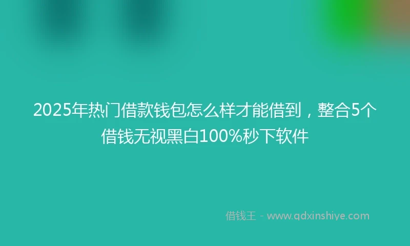 2025年热门借款钱包怎么样才能借到,整合5个借钱无视黑白100%秒下软件