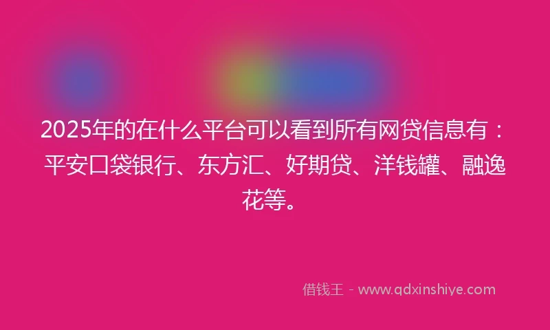2025年的在什么平台可以看到所有网贷信息有：平安口袋银行、东方汇、好期贷、洋钱罐、融逸花等。