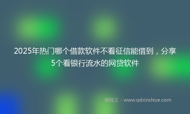 2025年热门哪个借款软件不看征信能借到，分享5个看银行流水的网贷软件