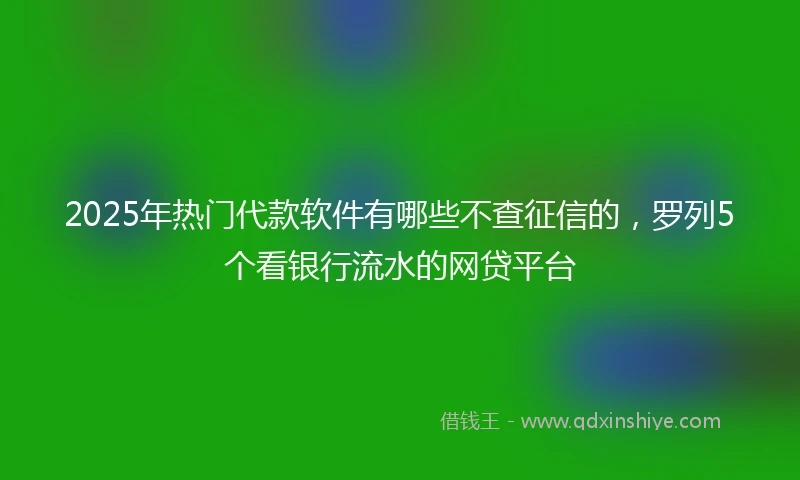2025年热门代款软件有哪些不查征信的，罗列5个看银行流水的网贷平台