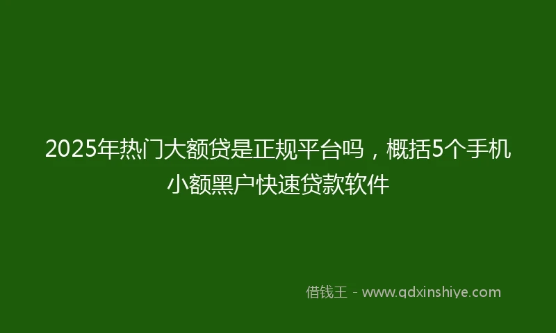 2025年热门大额贷是正规平台吗，概括5个手机小额黑户快速贷款软件