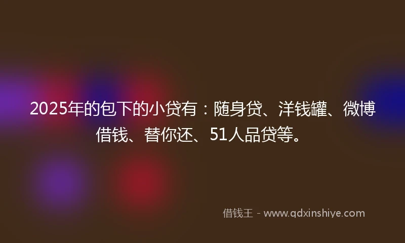 2025年的包下的小贷有：随身贷、洋钱罐、微博借钱、替你还、51人品贷等。