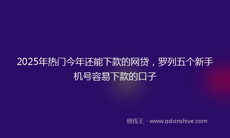 2025年热门今年还能下款的网贷，罗列五个新手机号容易下款的口子