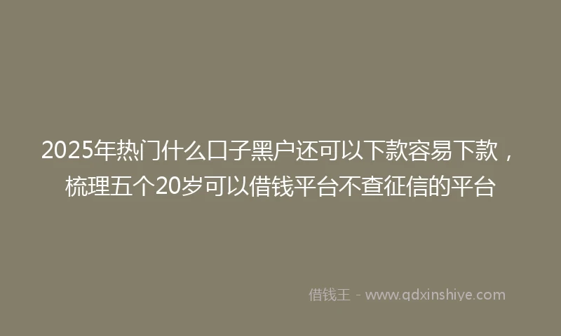 2025年热门什么口子黑户还可以下款容易下款，梳理五个20岁可以借钱平台不查征信的平台