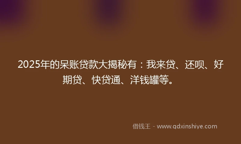 2025年的呆账贷款大揭秘有：我来贷、还呗、好期贷、快贷通、洋钱罐等。