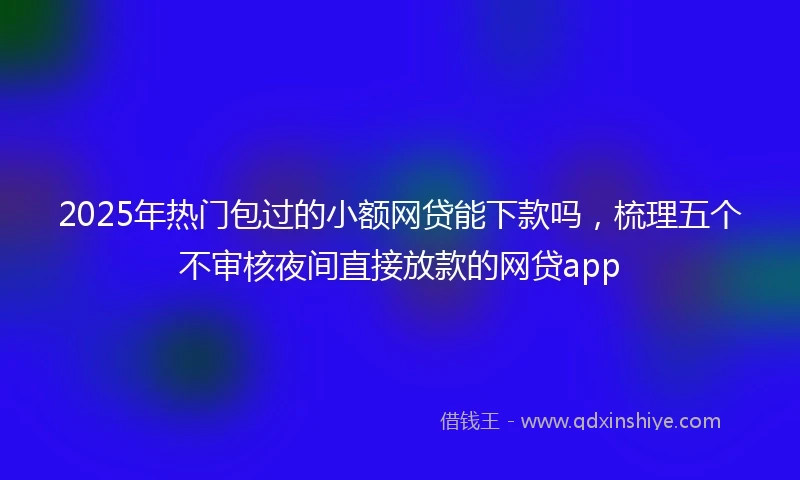 2025年热门包过的小额网贷能下款吗，梳理五个不审核夜间直接放款的网贷app