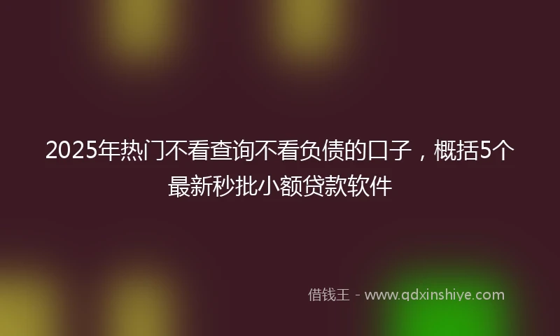 2025年热门不看查询不看负债的口子,概括5个最新秒批小额贷款软件