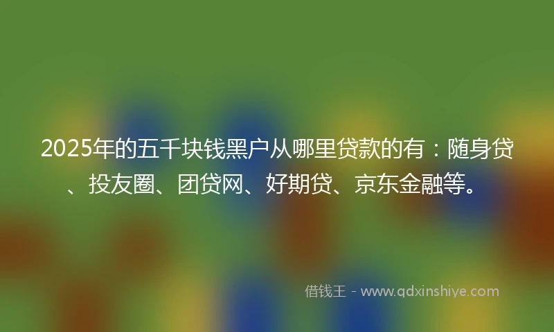 2025年的五千块钱黑户从哪里贷款的有:随身贷、投友圈、团贷网、好期贷、京东金融等。