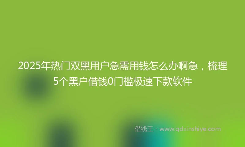 2025年热门双黑用户急需用钱怎么办啊急，梳理5个黑户借钱0门槛极速下款软件