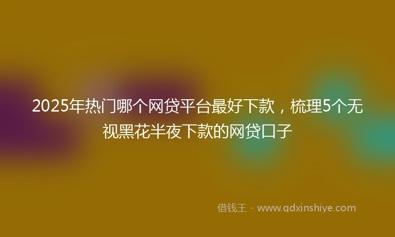 2025年热门哪个网贷平台最好下款，梳理5个无视黑花半夜下款的网贷口子