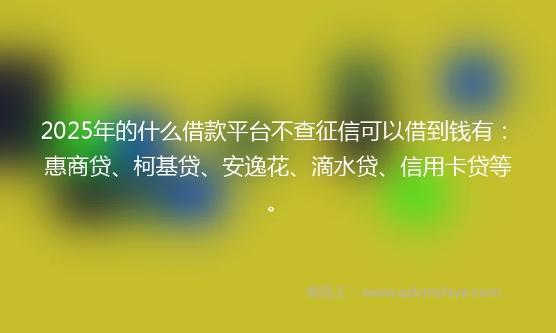 2025年的什么借款平台不查征信可以借到钱有：惠商贷、柯基贷、安逸花、滴水贷、信用卡贷等。