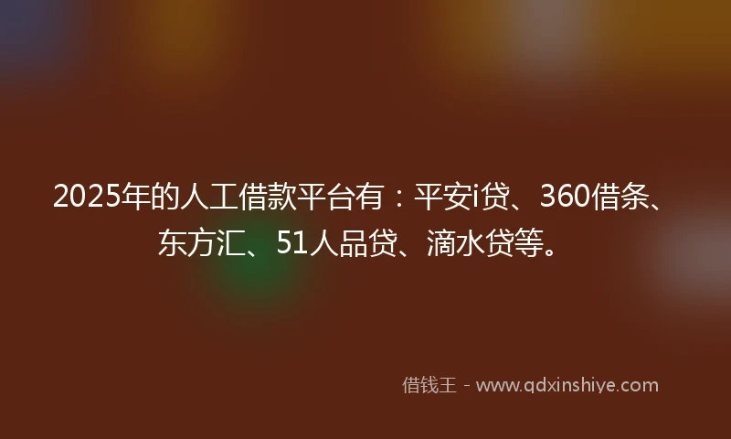 2025年的人工借款平台有：平安i贷、360借条、东方汇、51人品贷、滴水贷等。