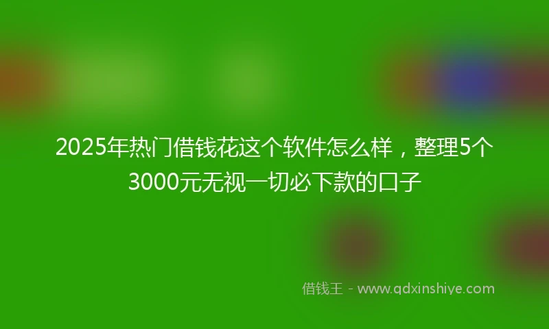 2025年热门借钱花这个软件怎么样，整理5个3000元无视一切必下款的口子