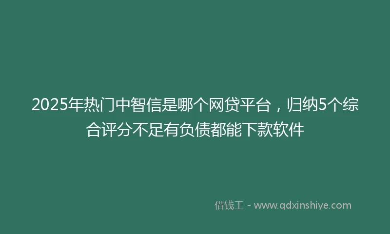 2025年热门中智信是哪个网贷平台,归纳5个综合评分不足有负债都能下款软件