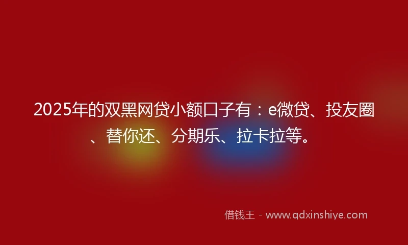 2025年的双黑网贷小额口子有：e微贷、投友圈、替你还、分期乐、拉卡拉等。
