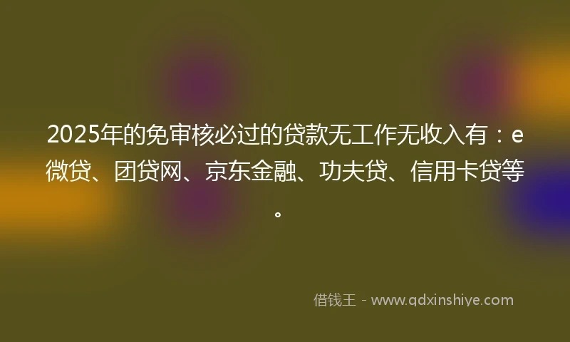 2025年的免审核必过的贷款无工作无收入有：e微贷、团贷网、京东金融、功夫贷、信用卡贷等。