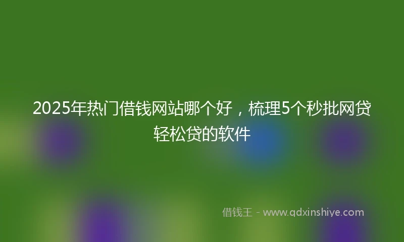 2025年热门借钱网站哪个好，梳理5个秒批网贷轻松贷的软件