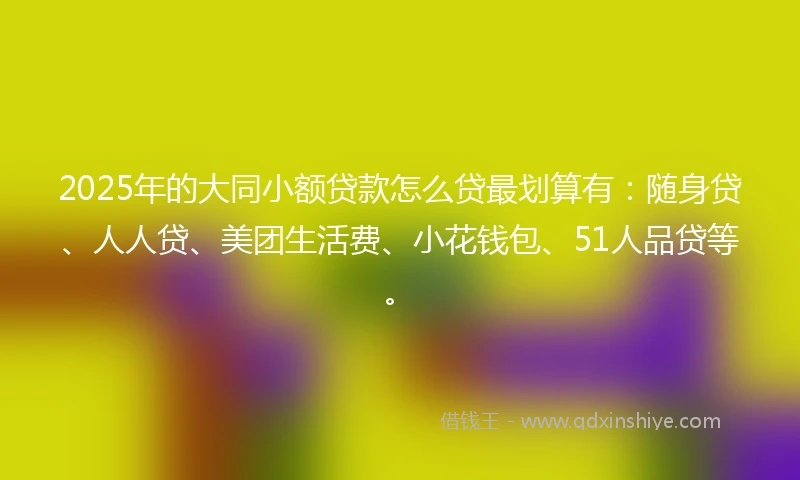 2025年的大同小额贷款怎么贷最划算有：随身贷、人人贷、美团生活费、小花钱包、51人品贷等。
