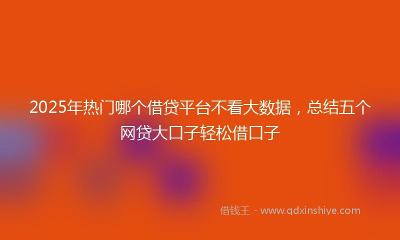 2025年热门哪个借贷平台不看大数据，总结五个网贷大口子轻松借口子