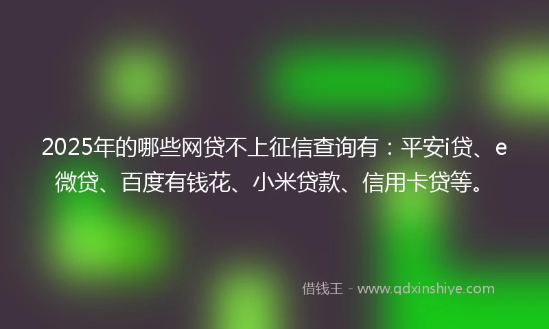 2025年的哪些网贷不上征信查询有：平安i贷、e微贷、百度有钱花、小米贷款、信用卡贷等。