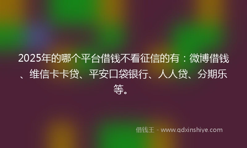 2025年的哪个平台借钱不看征信的有：微博借钱、维信卡卡贷、平安口袋银行、人人贷、分期乐等。