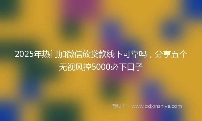 2025年热门加微信放贷款线下可靠吗，分享五个无视风控5000必下口子
