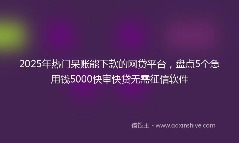 2025年热门呆账能下款的网贷平台，盘点5个急用钱5000快审快贷无需征信软件
