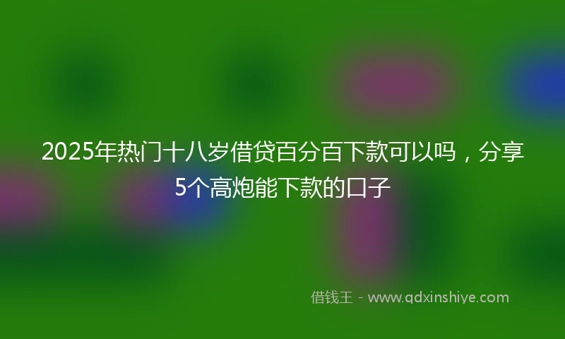 2025年热门十八岁借贷百分百下款可以吗，分享5个高炮能下款的口子