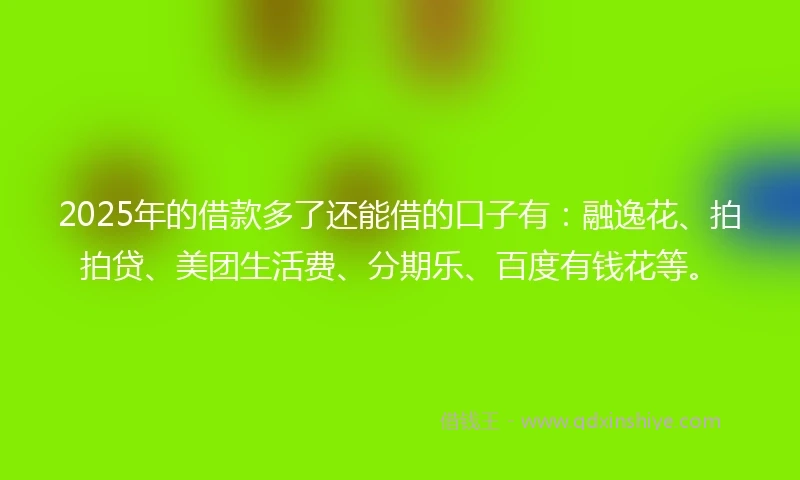 2025年的借款多了还能借的口子有：融逸花、拍拍贷、美团生活费、分期乐、百度有钱花等。