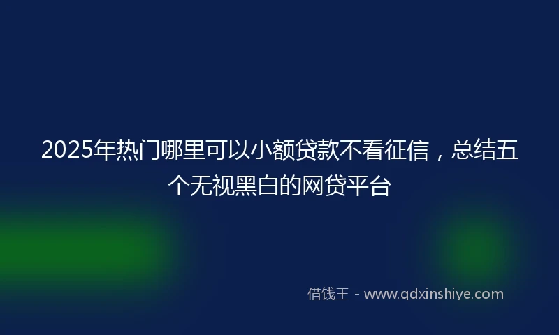 2025年热门哪里可以小额贷款不看征信，总结五个无视黑白的网贷平台