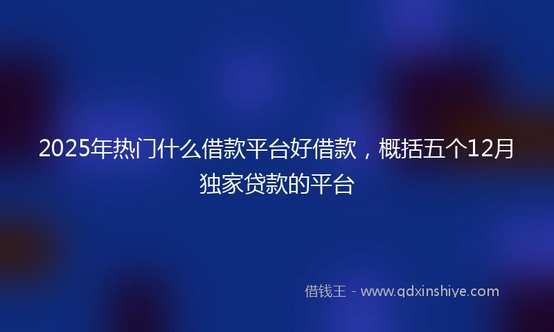 2025年热门什么借款平台好借款，概括五个12月独家贷款的平台