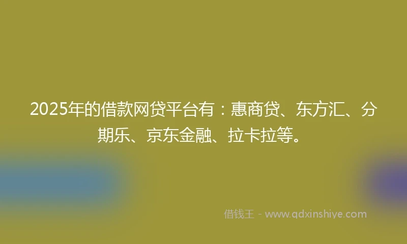 2025年的借款网贷平台有：惠商贷、东方汇、分期乐、京东金融、拉卡拉等。
