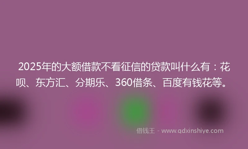 2025年的大额借款不看征信的贷款叫什么有：花呗、东方汇、分期乐、360借条、百度有钱花等。