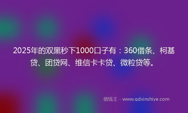 2025年的双黑秒下1000口子有：360借条、柯基贷、团贷网、维信卡卡贷、微粒贷等。
