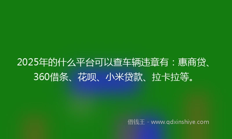 2025年的什么平台可以查车辆违章有：惠商贷、360借条、花呗、小米贷款、拉卡拉等。