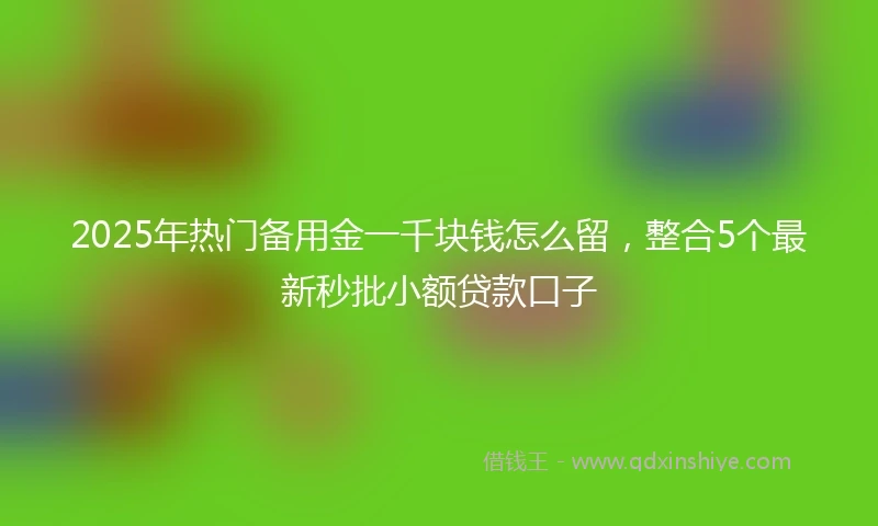 2025年热门备用金一千块钱怎么留，整合5个最新秒批小额贷款口子